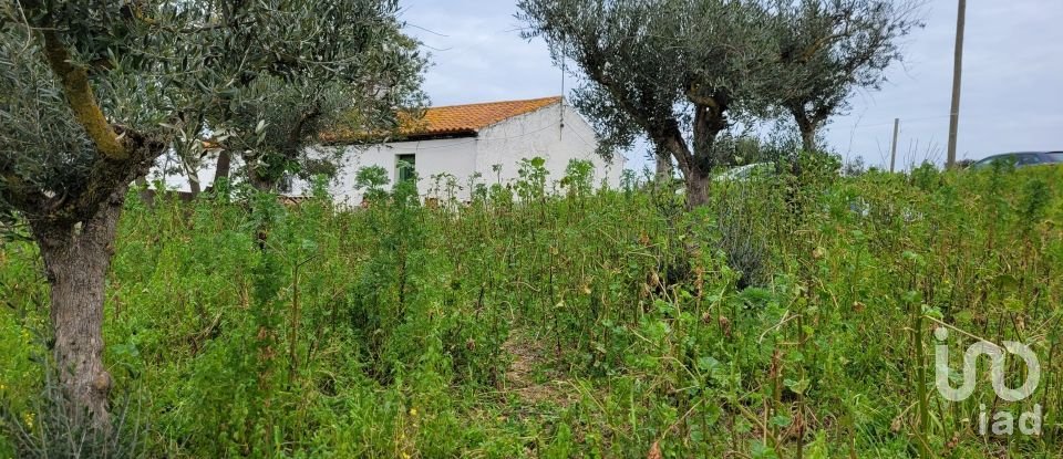 Maison de campagne T3 à Alandroal (Nossa Senhora Da Conceição), São Brás Dos Matos (Mina Do Bugalho) E Juromenha (Nossa Senhora Do Loreto) de 97 m²