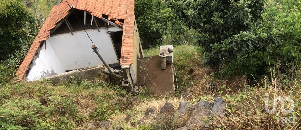 Maison de campagne T1 à Calheta de 49 m²