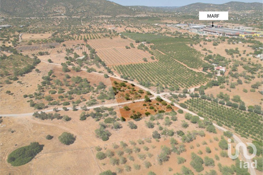 Terreno Agrícola em Santa Bárbara de Nexe de 5 160 m²