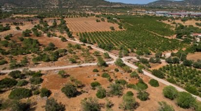 Agricultural land in Santa Bárbara de Nexe of 5,160 m²