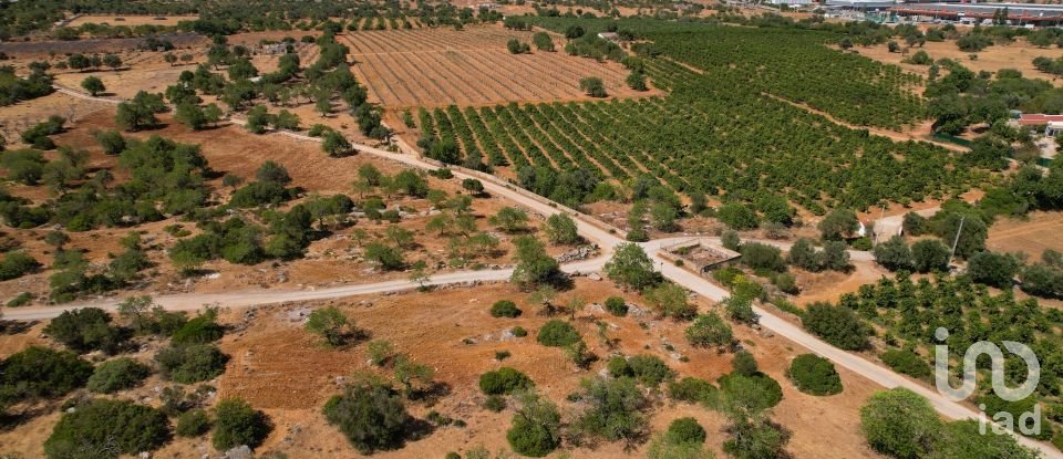 Terreno Agrícola em Santa Bárbara de Nexe de 5 160 m²