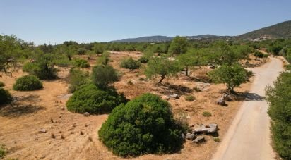 Agricultural land in Santa Bárbara de Nexe of 5,160 m²