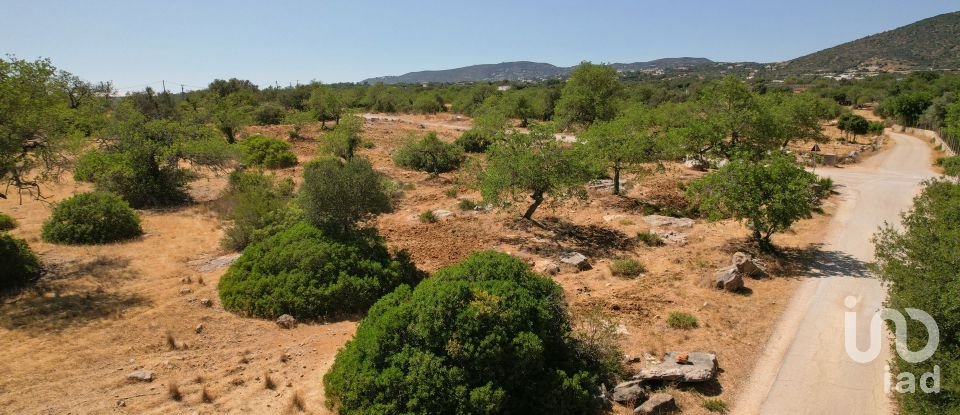 Terreno Agrícola em Santa Bárbara de Nexe de 5 160 m²