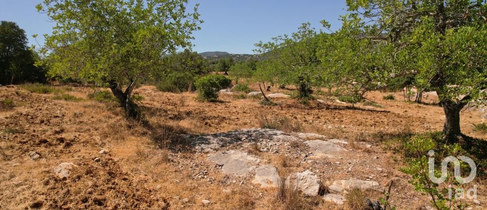 Terreno Agrícola em Santa Bárbara de Nexe de 5 160 m²