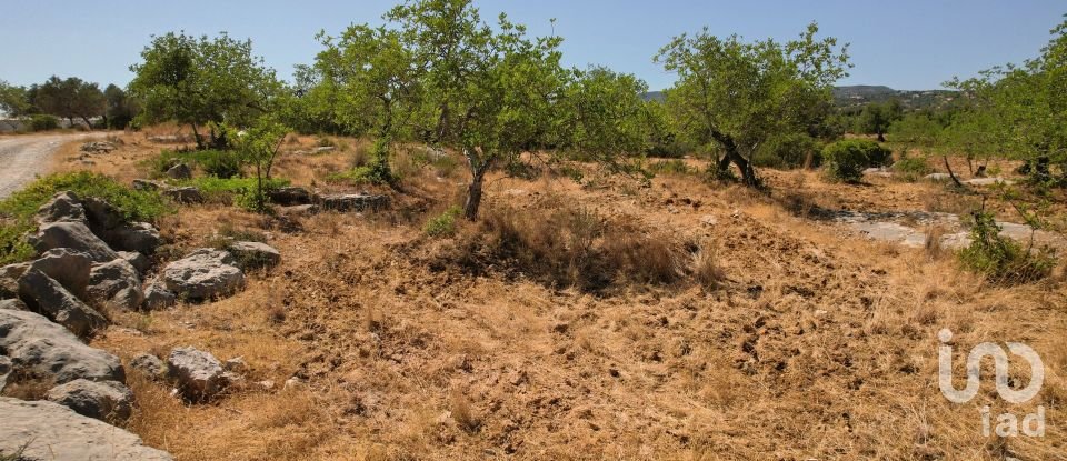 Agricultural land in Santa Bárbara de Nexe of 5,160 m²