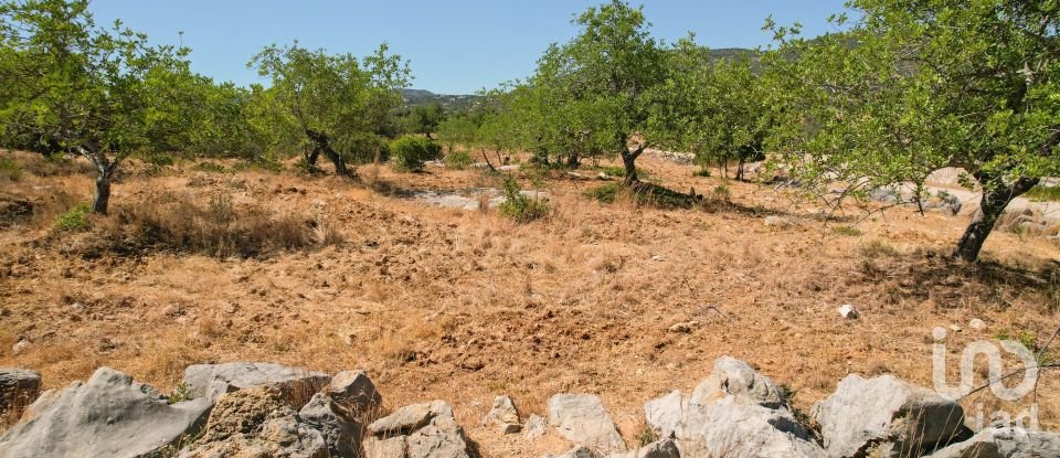 Agricultural land in Santa Bárbara de Nexe of 5,160 m²