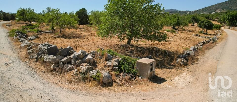 Terrain agricole à Santa Bárbara de Nexe de 5 160 m²