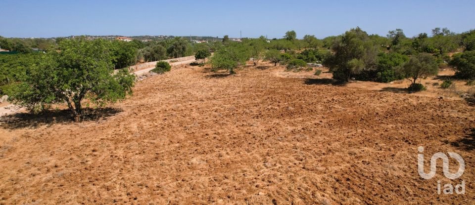 Terreno Agrícola em Santa Bárbara de Nexe de 5 160 m²