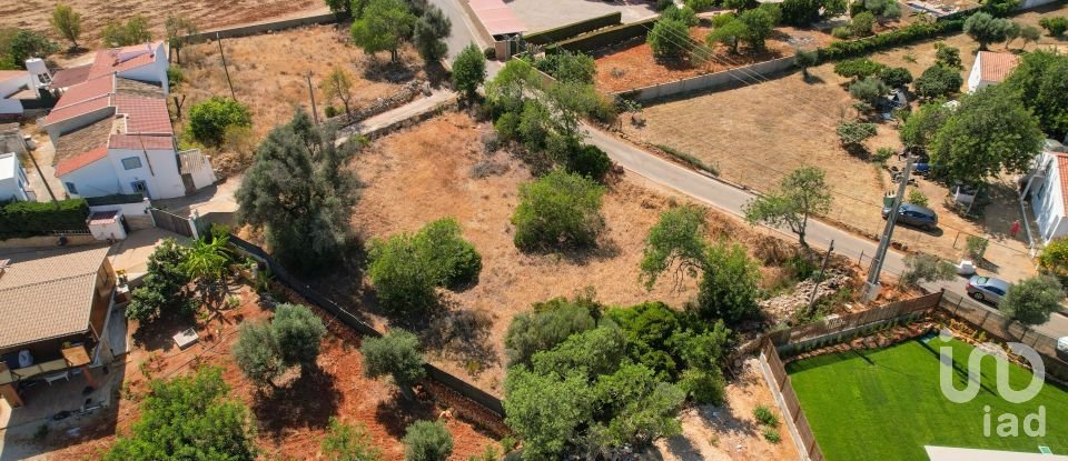 Terreno para construção em Albufeira e Olhos de Água de 1 300 m²