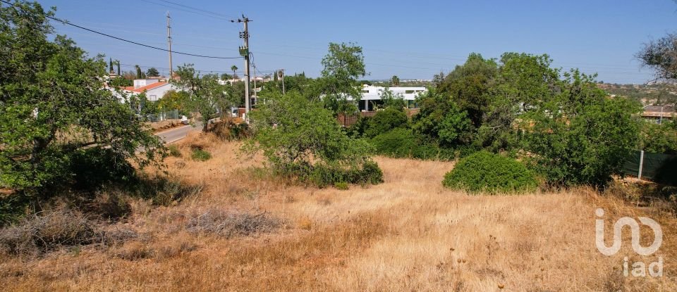 Terreno para construção em Albufeira e Olhos de Água de 1 300 m²