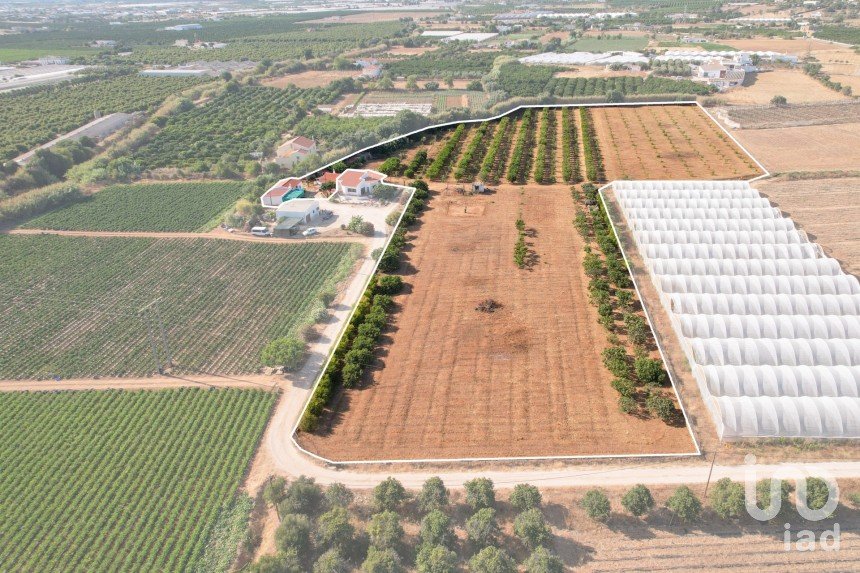 Farm T2 in Conceição e Estoi of 107 m²