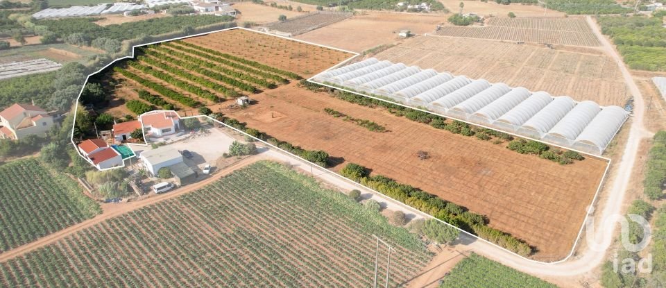 Farm T2 in Conceição e Estoi of 107 m²