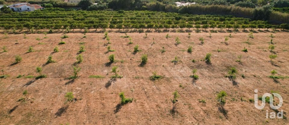 Quinta T2 em Conceição e Estoi de 107 m²