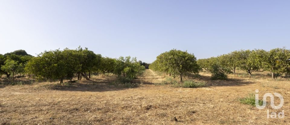 Ferme T2 à Conceição e Estoi de 107 m²