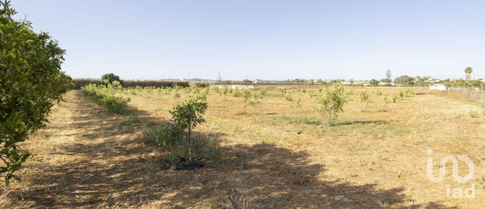 Ferme T2 à Conceição e Estoi de 107 m²