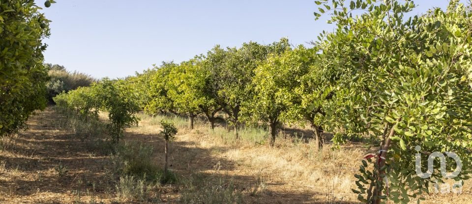 Farm T2 in Conceição e Estoi of 107 m²