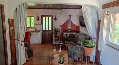 Traditional house T2 in Branca of 141 m²