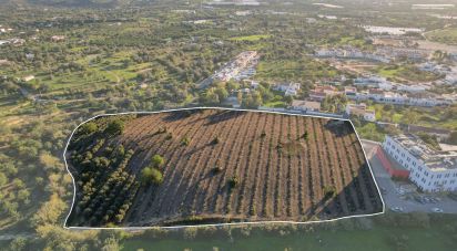 Building land in Conceição e Estoi of 22,000 m²