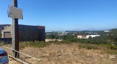 Terreno em Nossa Senhora das Misericórdias de 4 100 m²