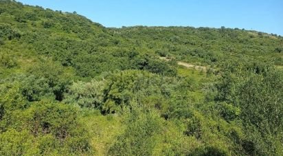 Terrain à Almargem do Bispo, Pêro Pinheiro e Montelavar de 2 720 m²