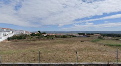 Terreno em Tornada e Salir do Porto de 5 560 m²