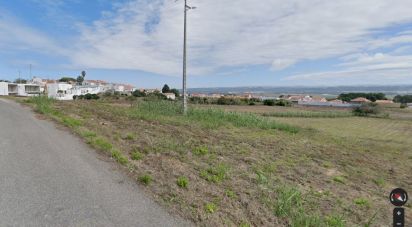 Terreno em Tornada e Salir do Porto de 5 560 m²