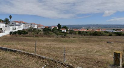 Terrain à Tornada e Salir do Porto de 5 560 m²