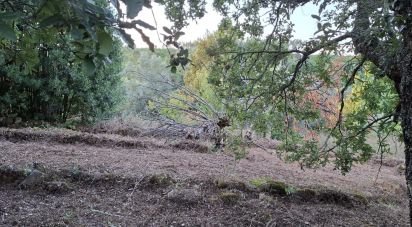 Terreno em São Miguel, Santa Eufémia e Rabaçal de 1 950 m²