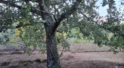 Terreno em São Miguel, Santa Eufémia e Rabaçal de 1 950 m²