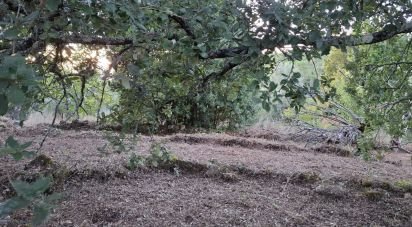 Terrain à São Miguel, Santa Eufémia e Rabaçal de 1 950 m²