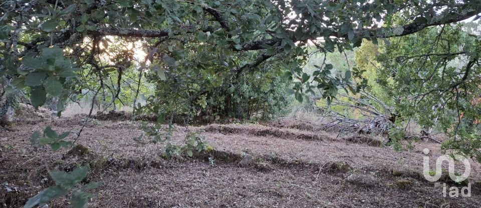 Terrain à São Miguel, Santa Eufémia e Rabaçal de 1 950 m²