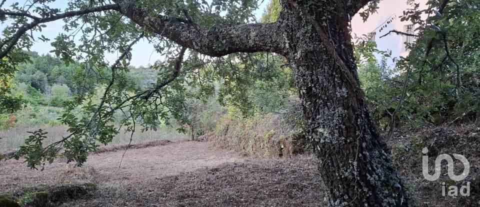 Terreno em São Miguel, Santa Eufémia e Rabaçal de 1 950 m²