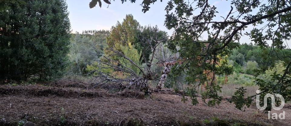 Terreno em São Miguel, Santa Eufémia e Rabaçal de 1 950 m²