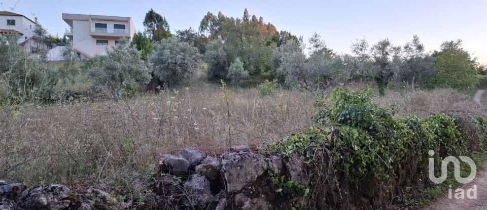 Terrain à São Miguel, Santa Eufémia e Rabaçal de 1 950 m²