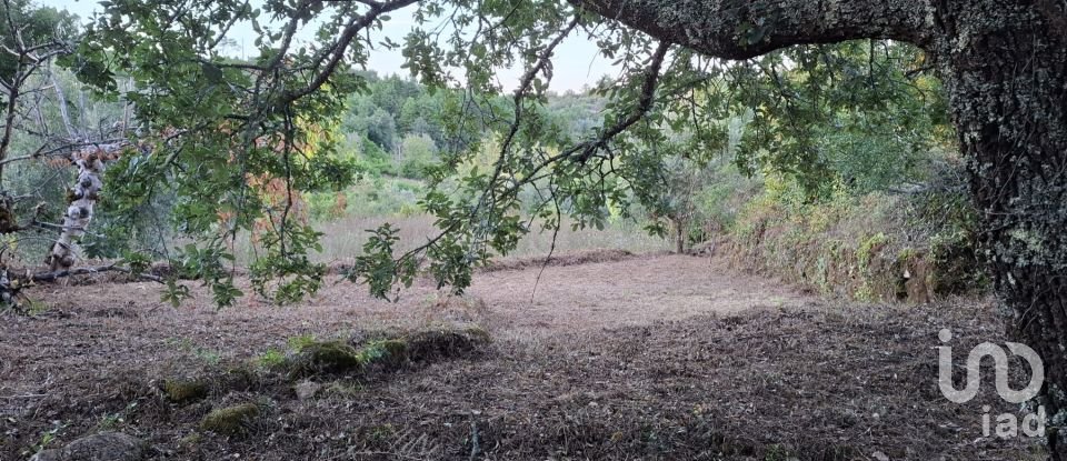 Terrain à São Miguel, Santa Eufémia e Rabaçal de 1 950 m²