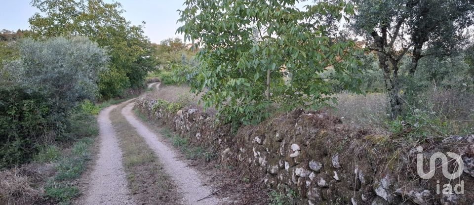 Terreno em São Miguel, Santa Eufémia e Rabaçal de 1 950 m²