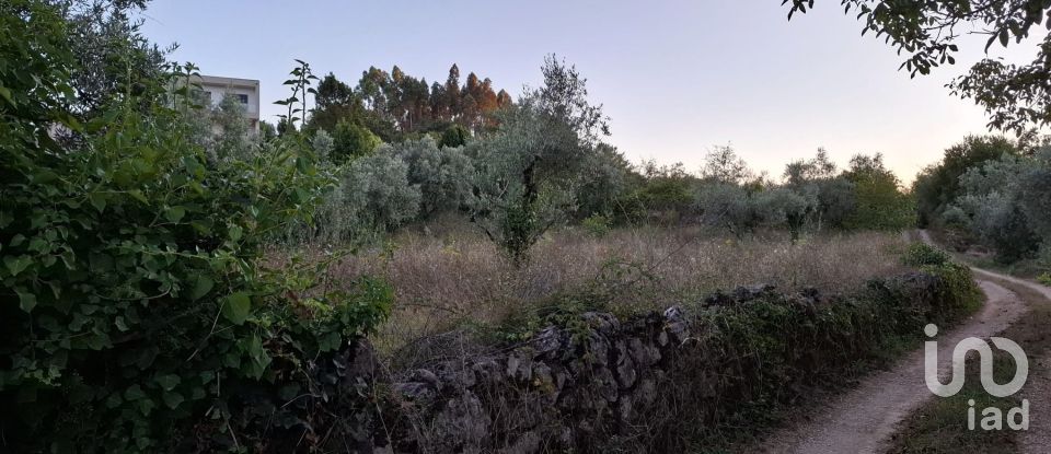 Terrain à São Miguel, Santa Eufémia e Rabaçal de 1 950 m²