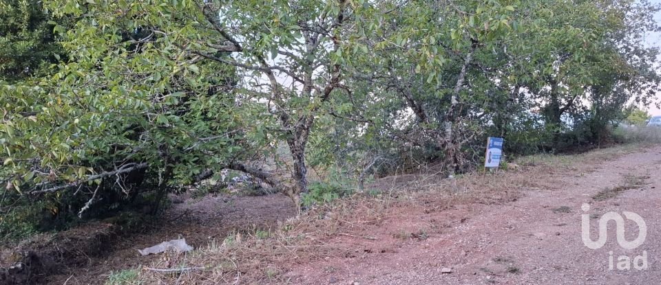 Terreno em São Miguel, Santa Eufémia e Rabaçal de 1 950 m²