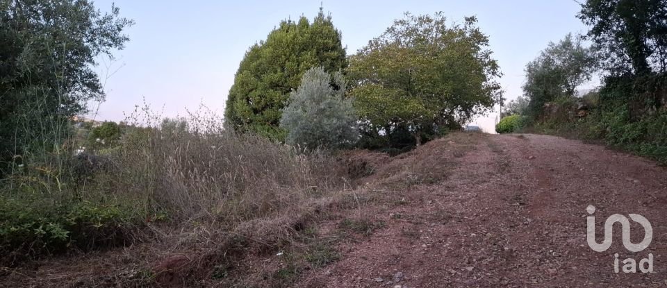 Terreno em São Miguel, Santa Eufémia e Rabaçal de 1 950 m²