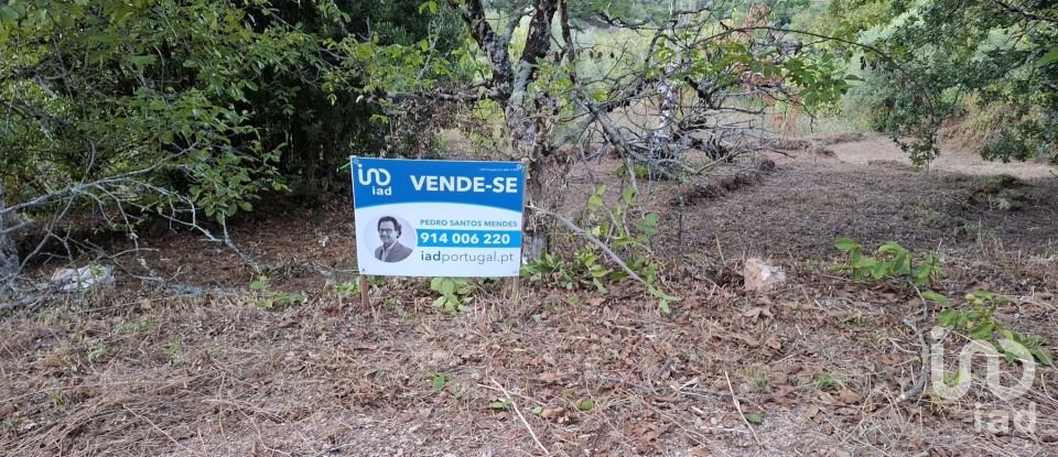 Terreno em São Miguel, Santa Eufémia e Rabaçal de 1 950 m²