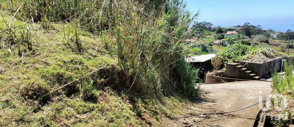 Terrain à Canhas de 1 004 m²