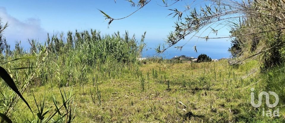 Land in Canhas of 1,004 m²