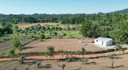 Terreno em Espinhal de 1 050 m²