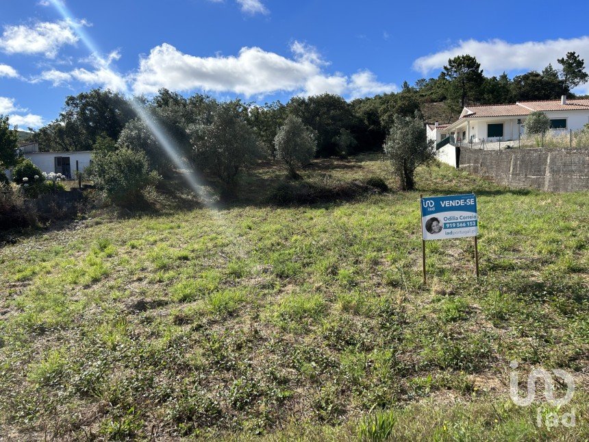 Terrain à Porto de Mós - São João Baptista e São Pedro de 7 200 m²