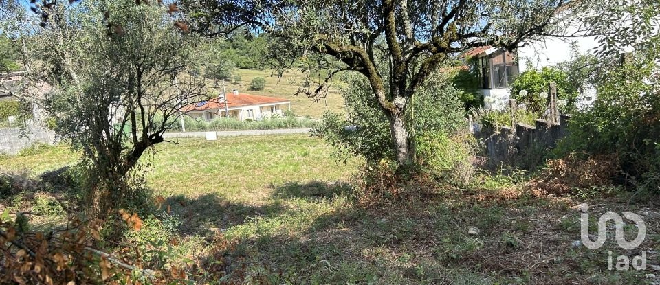 Terreno em Porto de Mós - São João Baptista e São Pedro de 7 200 m²