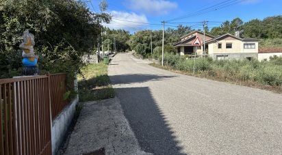 Terrain à Porto de Mós - São João Baptista e São Pedro de 7 200 m²