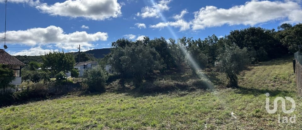 Terreno em Porto de Mós - São João Baptista e São Pedro de 7 200 m²