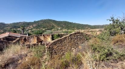 Terreno para construção em Querença, Tôr e Benafim de 3 702 m²