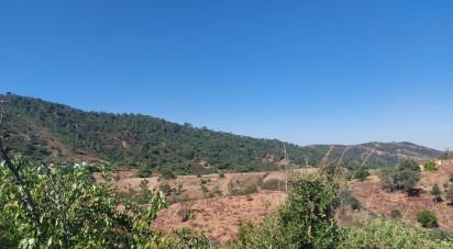 Building land in Querença, Tôr e Benafim of 3,702 m²