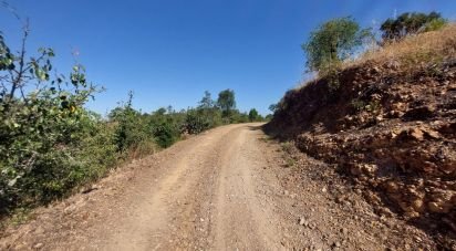 Building land in Querença, Tôr e Benafim of 3,702 m²